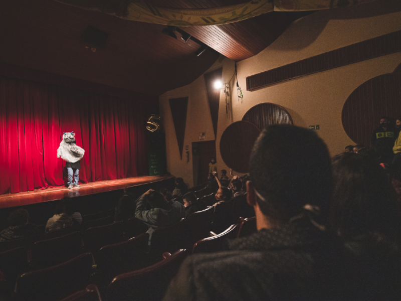 Artista en escena