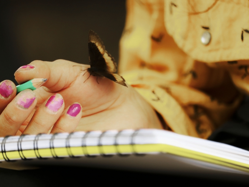 Foto de una mano que sujeta un lápiz con una mariposa que se posa en su dorso sobre una libreta