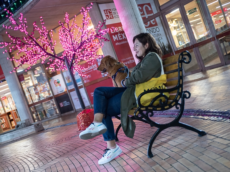 Perro y mujer joven en el Fondo de Cultura Económica, que está adornado de Navidad. Foto: Juan Santacruz / Idartes.