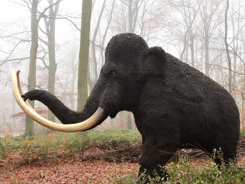 Mamut en un bosque. 