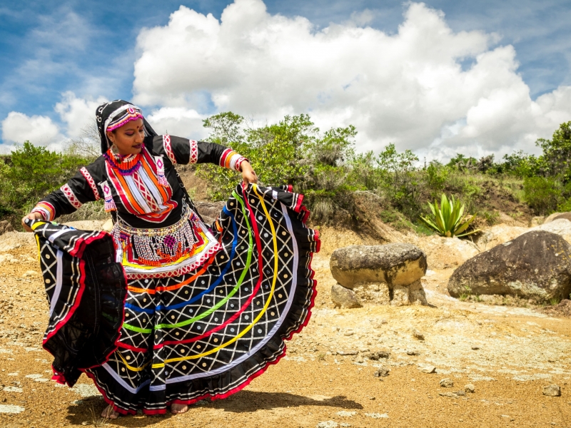 Bailarina de danza de la India