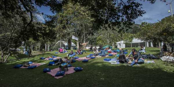 Lectores al aire libre
