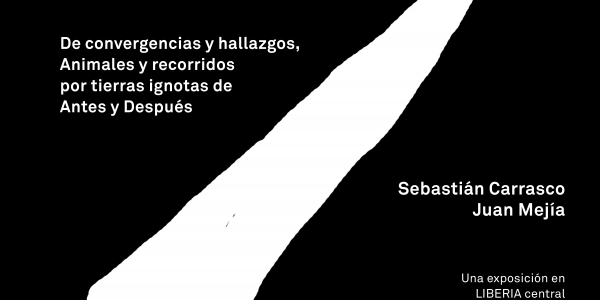 Flyer Unicornio