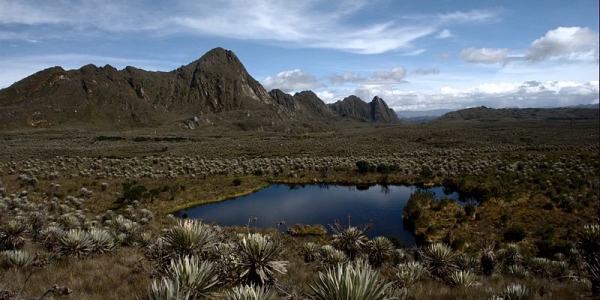 Paramo de Sumapaz - Wikimedia Commons.