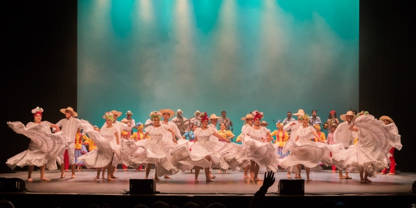 Compañías Residentes permanentes Plataforma Danza Bogotá