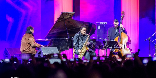 Jazz al parque artistas en escena
