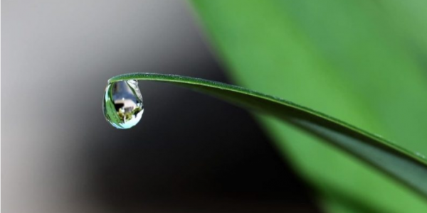 Mucho más que una molécula de agua