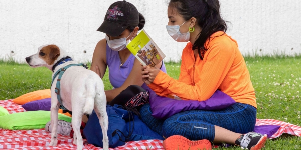 Ferias Locales de Artes - Teusaquillo. Foto: Laura Imery Almario.