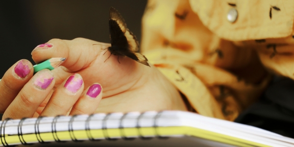 Foto de una mano que sujeta un lápiz con una mariposa que se posa en su dorso sobre una libreta