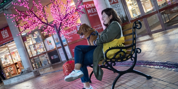 Perro y mujer joven en el Fondo de Cultura Económica, que está adornado de Navidad. Foto: Juan Santacruz / Idartes.