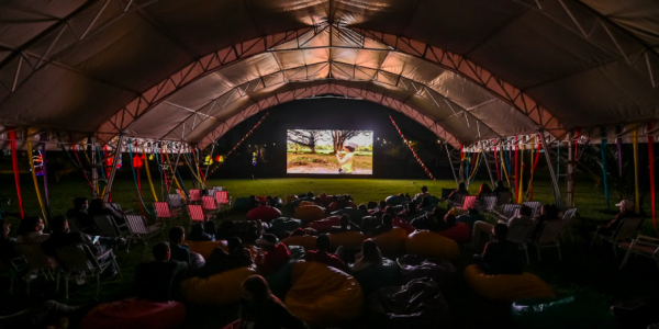 Personas en el parque viendo cine 