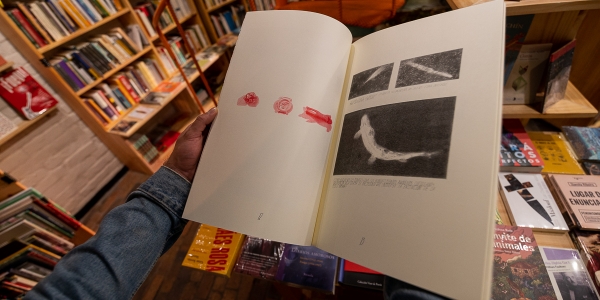 Foto de una librería. Foto: Mathew Valbuena / Idartes.