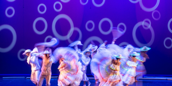 Danza folclor