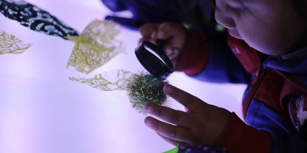 Niño en primera infancia explorando con una lupa