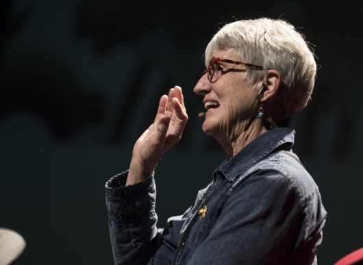 Donna Haraway 