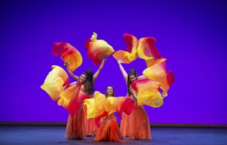 Gala de Danza Oriental / Oasis