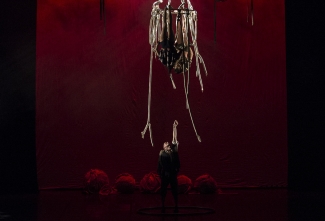 XIII Festival de Teatro de Bogotá