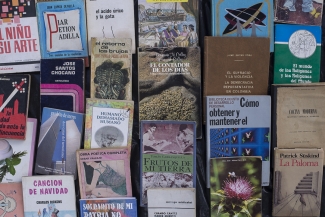 Lectura Bajo los Arboles 2017