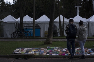 Lectura Bajo los Arboles 2017