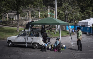 Lectura Bajo los Arboles 2017
