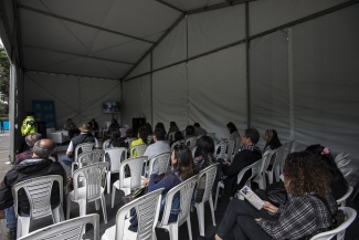 Lectura Bajo los Arboles 2017