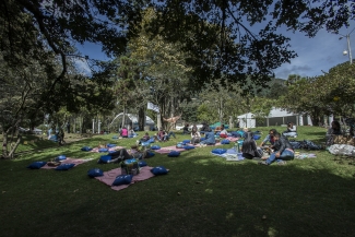 Lectura Bajo los Arboles 2017