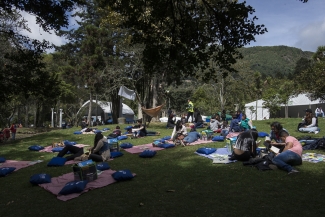 Lectura Bajo los Arboles 2017