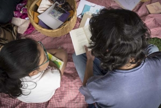 Picnic Literario.