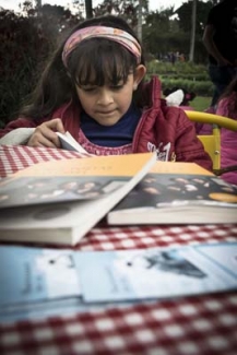 Picnic Literario.