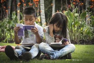 Picnic Literario.