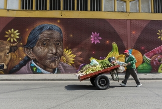 Adulto mayor llevando una carreta 