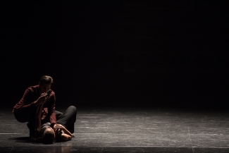 Hamlet, Imperfect Dancers Company.
