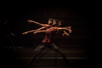 Hamlet, Imperfect Dancers Company.