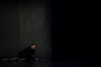 Hamlet, Imperfect Dancers Company.