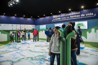 FILBo 2019
