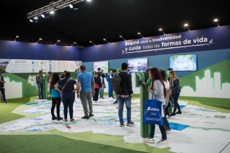 FILBo 2019