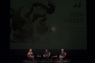 Donna Haraway 