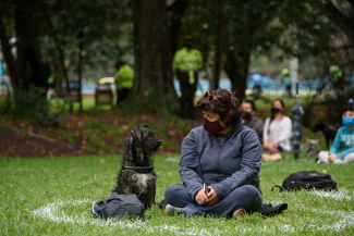 Meditación Ancestral al Parque
