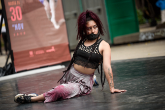 Festival Danza en la Ciudad - Parque Santander.