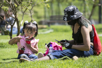 Contemplación al Parque 