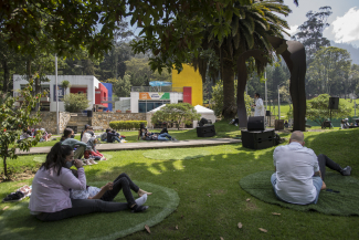 Contemplación al Parque 