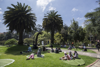 Contemplación al Parque 