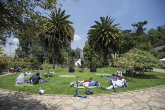 Contemplación al Parque 