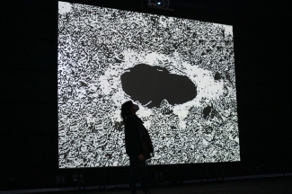 Camilo Restrepo, Videoinstalación - Tele-Visión.