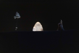 El Mercado de las Aves de EnvolVert en el Teatro el Parque