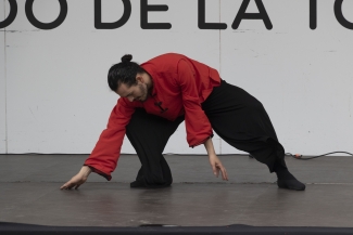 Escenario Móvil - Arte y Huella por la Paz - Plazoleta de la Mariposa, Usaquén