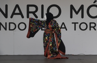Escenario Móvil - Arte y Huella por la Paz - Plazoleta de la Mariposa, Usaquén