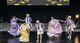 Título: Tortazo Rural: homenaje a Luis Alberto Aljure Lis "Guafa"