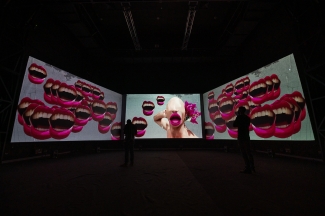 Inauguración videoinstalación Mojana - Ciclo Rosa 