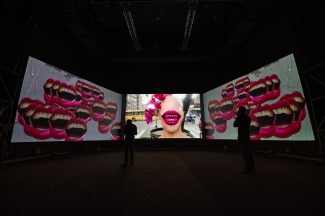 Inauguración videoinstalación Mojana - Ciclo Rosa 